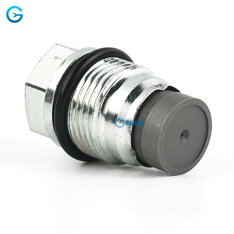 High Quality OEM 1110010012 Fuel Rail Pressure Relief Valve Sensor Auto Parts