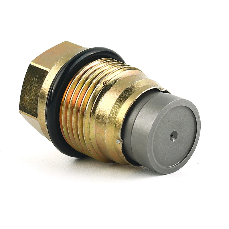 High Quality OEM 1110010018 Fuel Rail Pressure Relief Valve Sensor for Honda Fords