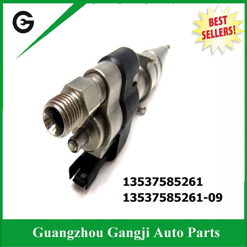 Auto PETROL Fuel Injector Nozzle Assembly OEM 13537585261 For B M W