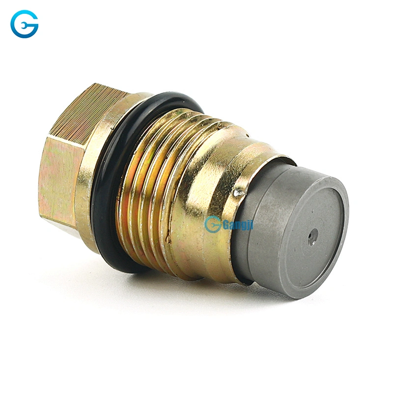 High Quality OEM 1110010018 Fuel Rail Pressure Relief Valve Sensor for Honda Fords