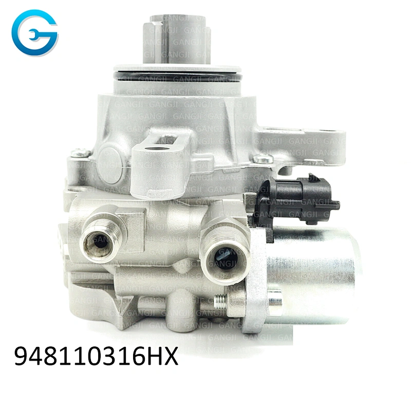 OEM 948110316HX High Pressure Fuel Pump For Porsche 948110315GX Car Part
