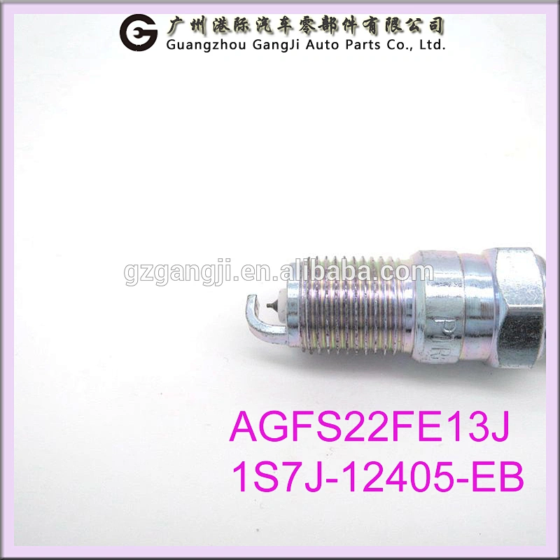 Car Accessories Spark Plug AGFS22FE13J 1307093