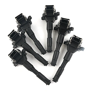 High Quality OEM 12131703227 12131748018 For BMW Ignition Coil 0221504029 Car Parts