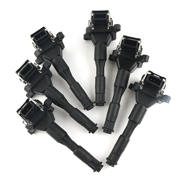 High Quality OEM 12131703227 12131748018 For BMW Ignition Coil 0221504029 Car Parts