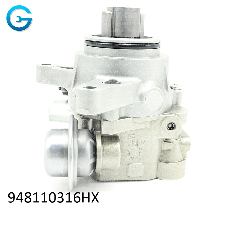 OEM 948110316HX High Pressure Fuel Pump For Porsche 948110315GX Car Part
