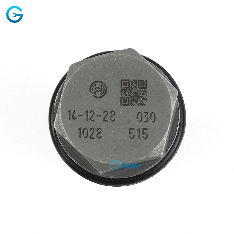 Hot OEM 1110010028 3974093 Fuel Rail Pressure Relief Valve Limiter Sensor