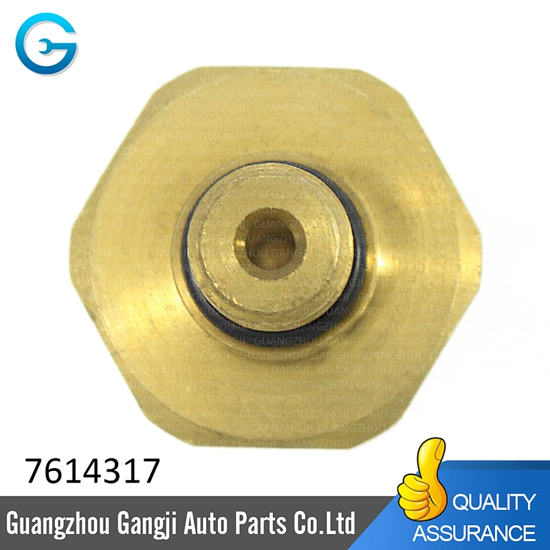 Low Pressure Oil Fuel Sensor OE 7614317 13537614317