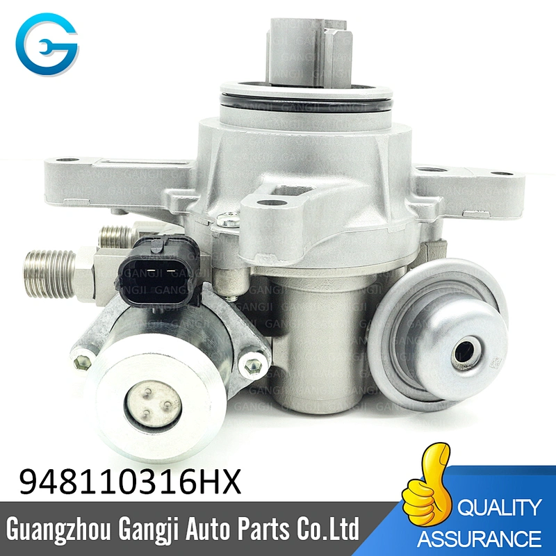 Wholesale Factory Direct Sales 94811031506 Fuel Pump For Porsche Cayenne