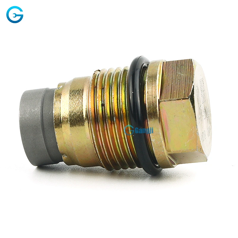 High Quality OEM 1110010018 Fuel Rail Pressure Relief Valve Sensor for Honda Fords