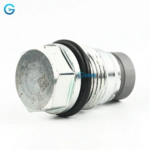 High Quality OEM 1110010012 Fuel Rail Pressure Relief Valve Sensor Auto Parts