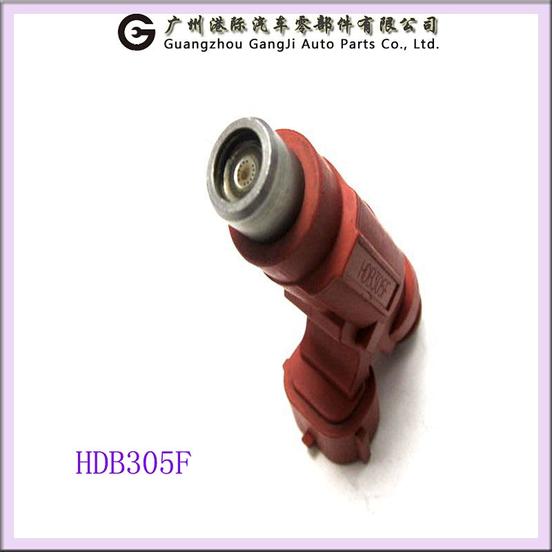 auto fuel injector nozzle OEM HDB305F