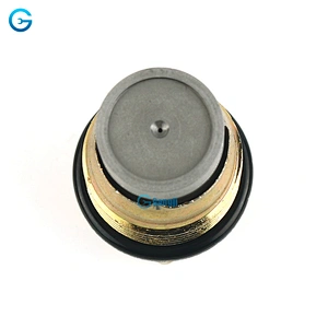 High Quality OEM 1110010018 Fuel Rail Pressure Relief Valve Sensor for Honda Fords