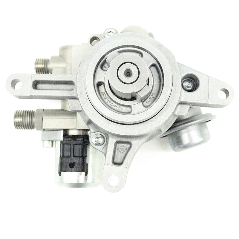 OEM 948110316HX High Pressure Fuel Pump For Porsche 948110315GX Car Part