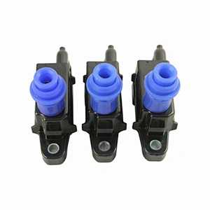 Automobile Engine Module Ignition Coil 90919-02216 for Toyota