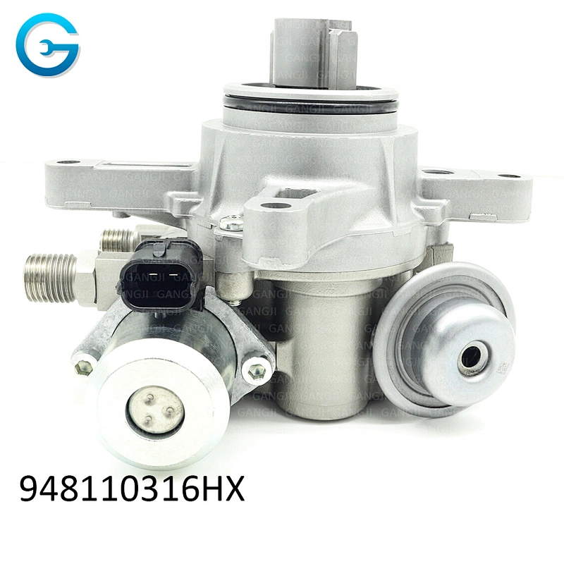 OEM 948110316HX High Pressure Fuel Pump For Porsche 948110315GX Car Part