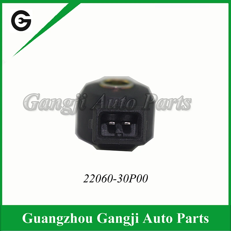High Quality Factory Price Knock Sensor OEM 22060-30P00