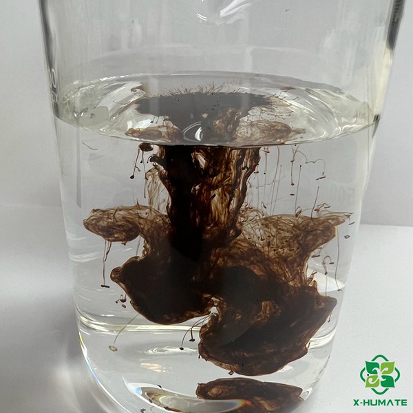 Loenardite source water soluble humic acid 70% granule for soil conditioner for organic fertilizer