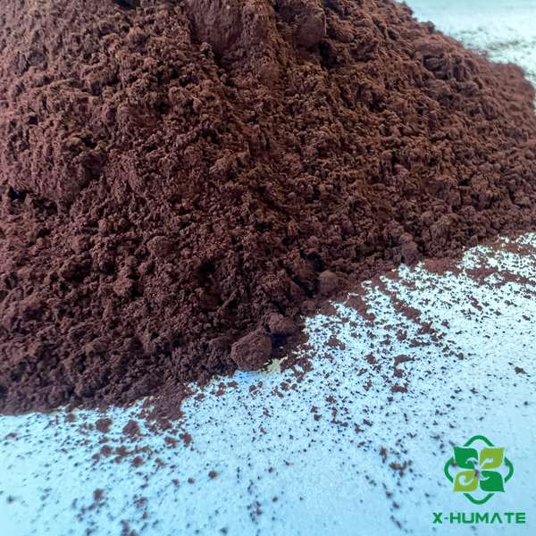 EDDH FE 6% DARK RED POWDER AND GRANULAR IRON Fertilizer