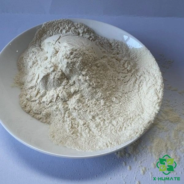 x-humate organic calcium fertilizer powder amino acid chelated calcium
