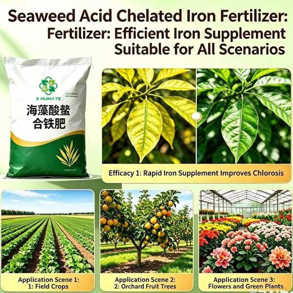 Professional display of X-humate SEAWEED EXTRACT CHELATED IRON in an agricultural nursery setting. Shows highly soluble micronutrient deficiency solution next to healthy crops.