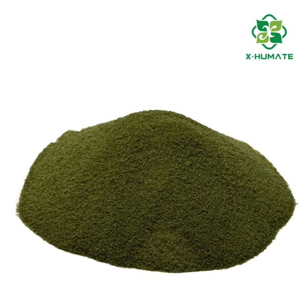 X-HUMATE GREEN SEAWEED EXTRACT POWDER FOR FERTILIZER USE