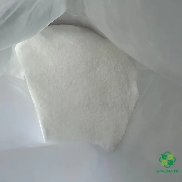 High-purity Calcium Formate 25kg bag by X-HUMATE for organic fertilizer and animal feed