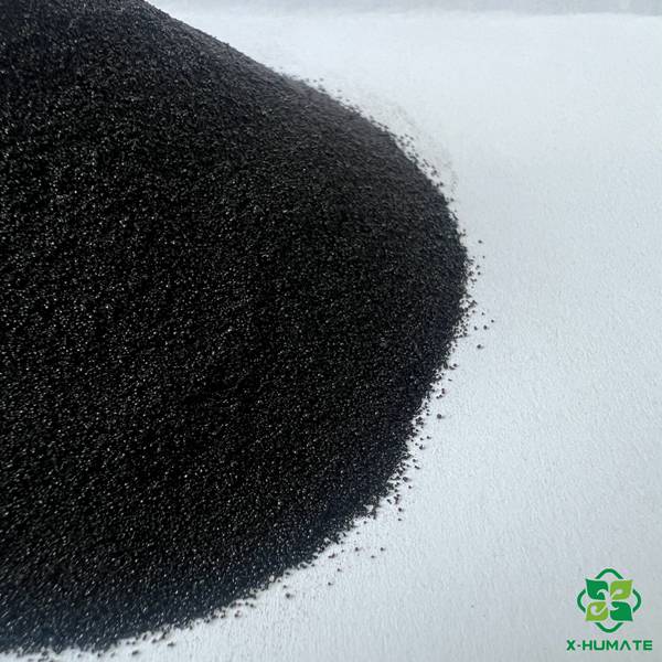 ascophyllum nodosum seaweed extract powder fertilizer of alginic acid spray dry powder with less moisture