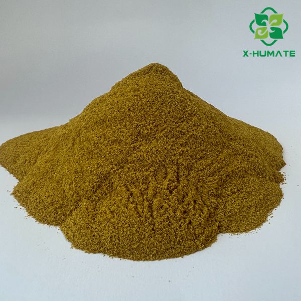 efficient biostimulant CHITOSAN OLIGOSACCHARIDE — The Plant Immune Activation Expert