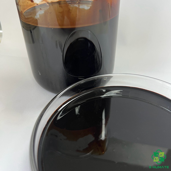 x-humate leonardite liquid of Humic acid for organic fertilizer to soil improvement