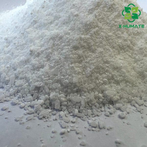 EDTA MG CHELATED MAGNESIUM FERTILIZER