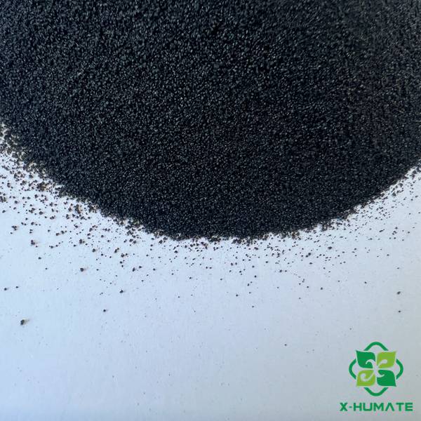 X-humate Seaweed Extract Chelated Copper (Cu 8.0%) powder in premium packaging, a 100% water-soluble organic copper biostimulant for professional fertigation.