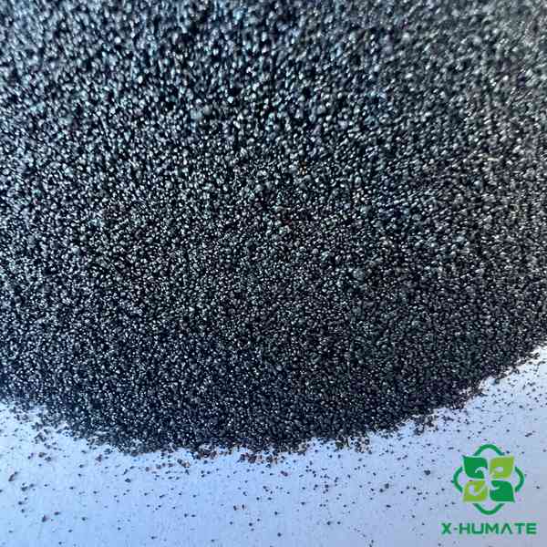 X-humate branded premium foil bag featuring SEAWEED EXTRACT CHELATED IRON (FE 10.0%) with a vibrant agricultural illustration and modern packaging. Includes 100% water solubility guarantee.