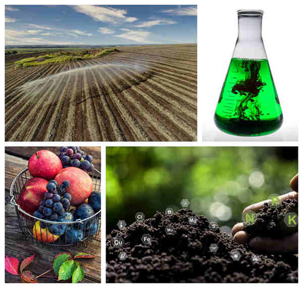 leonardite potassium humate dry powder use