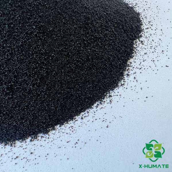 Premium Seaweed chelated zinc fertilizer in fine, brown-to-black water-soluble powder form, showcasing high-purity and residue-free physical quality.