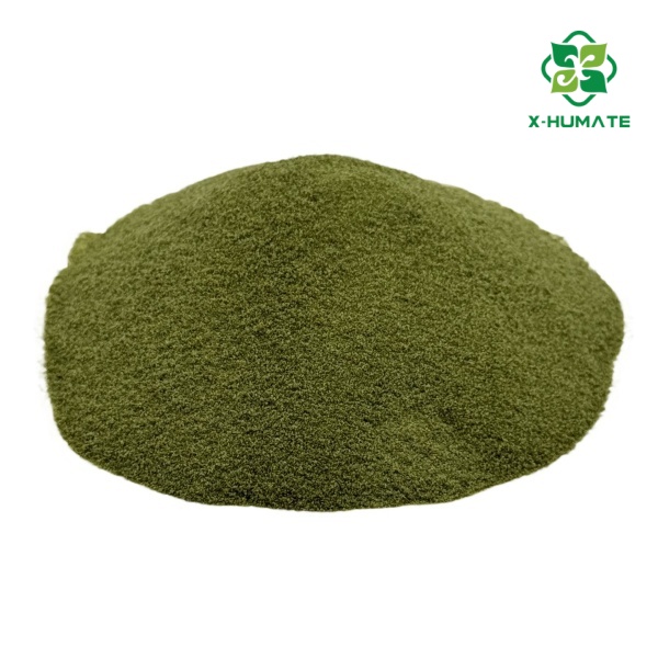 green seaweed extract powder fertilizer, seaweed extract powder, green seaweed fertilizer