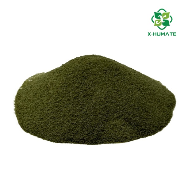green seaweed fertilizer use