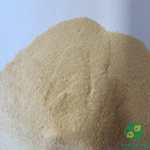 HUMATE TIANJIN FACTORY SUPPLY AMINO ACID CHELATED IRON FERTILIZER ORGNAIC FE