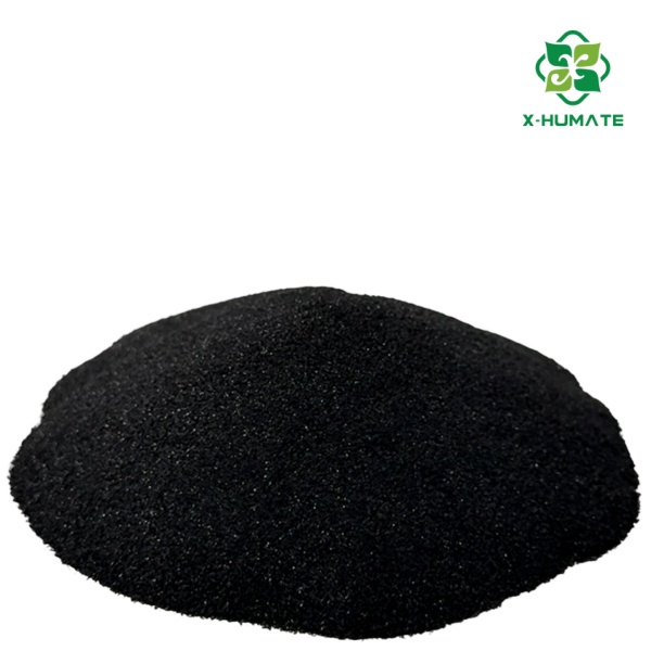 X-humate black powder seaweed extract for fertilizer