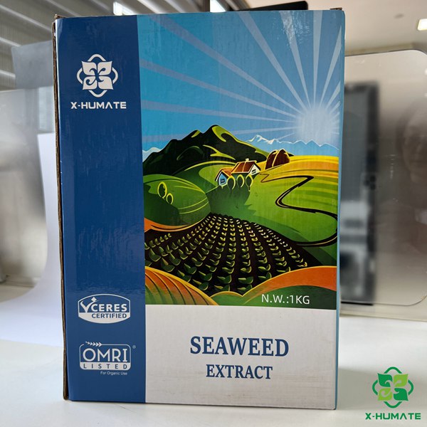 1kg packing seaweed extract powder for fertilizer use