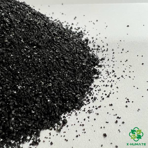 Humate Tianjin supply Premium Soluble Humic Acid Granule (70% Humic Acid) - X-HUMATE