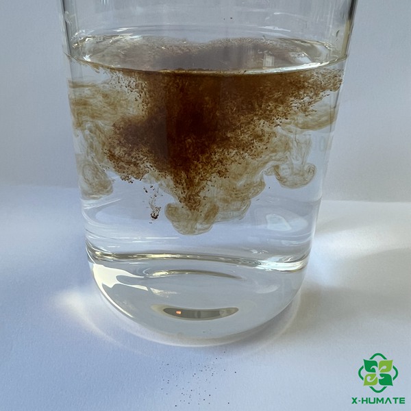 marine source alginic acid brown seaweed extract powder fertilizer use