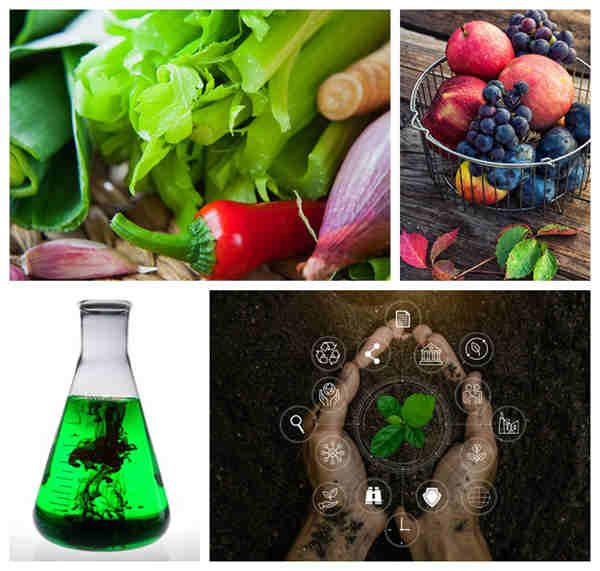 Root growth enhancement by applying potassium humic fulvic acid