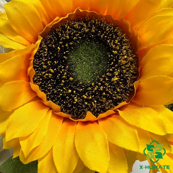 ORGANIC IRON FERTILIZER CHELATED FE EDDHA FERRIC 6 %