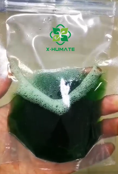 x-humate seaweed extract liquid fertilizer