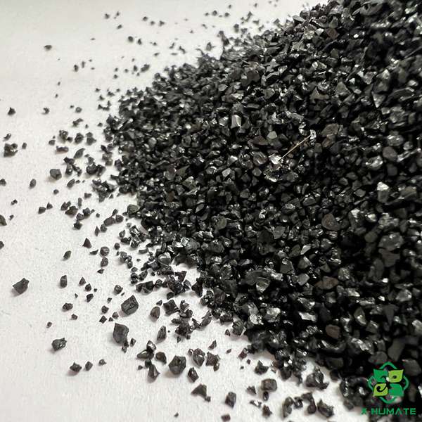high purity humic acid granule with water solubility 100% extracted from leonardite by Humate Tianjin