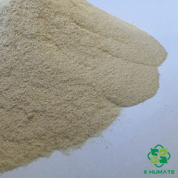 Organic Zinc Fertilizer Amino Acid chelated Zn