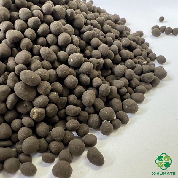 Humate Tianjin Seaweed Granular Soil Fertilizer (2-4mm) | X-HUMATE