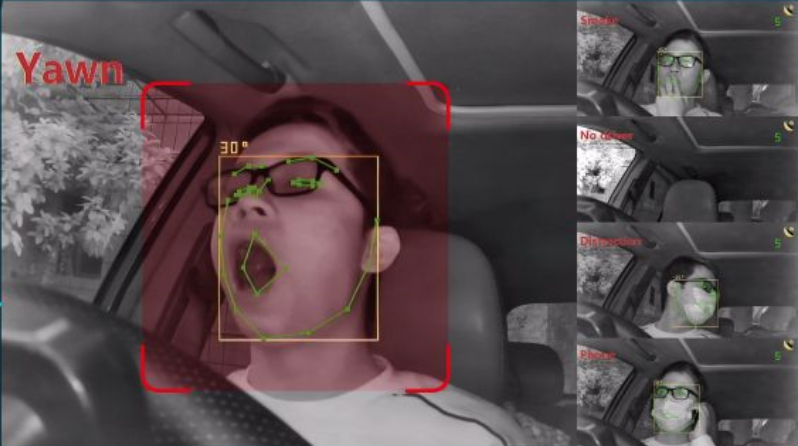 Driver Monitoring Systems (DMS)