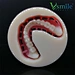 Vsmile Pink Full Denture PMMA BLOCK