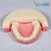 Teeth and gum shade